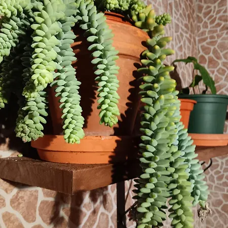 Casa Da Rosarinha Σπίτι διακοπών *