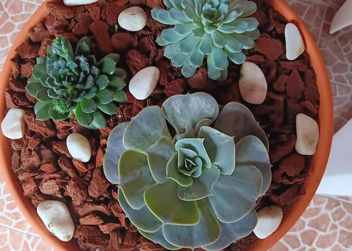 Vakantiehuis Casa Da Rosarinha Água de Alto