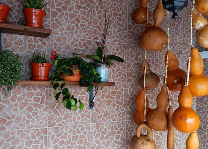 Vakantiehuis Casa Da Rosarinha *