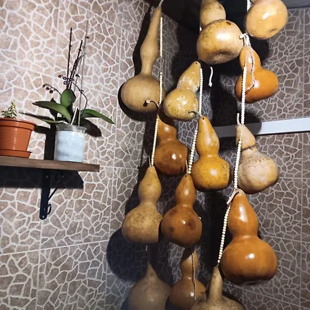 Casa Da Rosarinha * Água de Alto