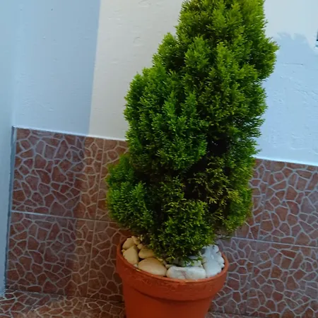 Casa Da Rosarinha