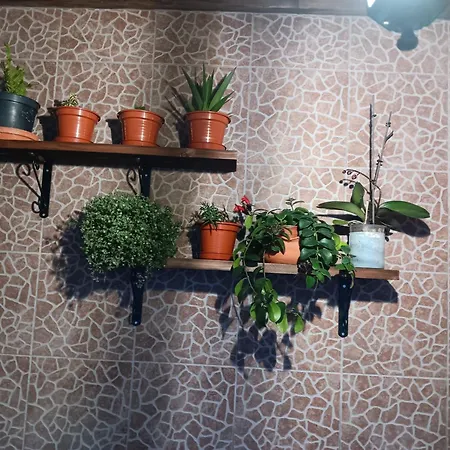 Prázdninový dům Casa Da Rosarinha *