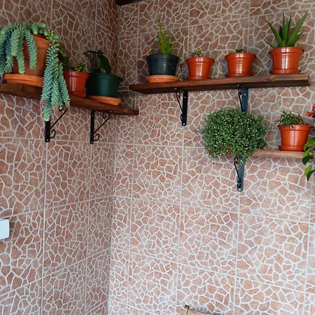 Prázdninový dům Casa Da Rosarinha Água de Alto