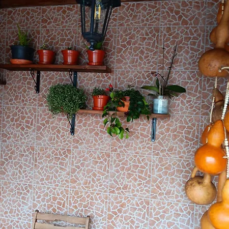 Prázdninový dům Casa Da Rosarinha *